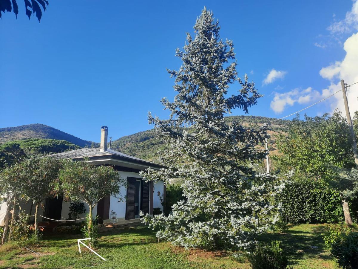 Casetta In Collina Sezze Eksteriør billede